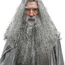 JEGERMIG Grey Wizard Curly Wig and Beard Christmas Funny Cosplay Santa Claus Costume Accessory for Adults
