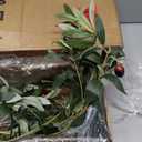 Artificial Olive Tree for Living Room Decor, 6FT Bendable Fake Plants Artificial Indoor, Faux Silk Plant Fake Trees in Potted with Oliver Branch Leaves and Fruits for Modern Home House Office Dcor