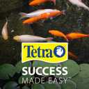 Tetra Pond AlgaeControl 16.9 Ounces, Controls Green Water And String Algae In Ponds (77187)