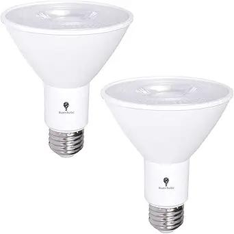 2 Pack PAR30 Outdoor LED Flood Light Bulb 12W 100 Watt Equivalent 900 Lumens Dimmable Waterproof E26 6000K Daylight LED Flood Light Bulbs for Security Spotlight Bulb Led Recessed Light Bulbs