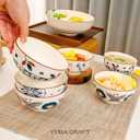 Japanese Ceramic Bowls, 4.5-Inch for Kitchen,Rice and Salad, Various Combinations of Japanese Style Blue and White Porcelain (Set of 2)