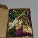 12/24 PCS Charming Dried Flowers Bouquet for Vase Various Dried Wildflowers with Stems Mini Handmade Wildflowers Natural Real Flowers Bulk Flowers Craft (Romantic Colour, 12 PCS)
