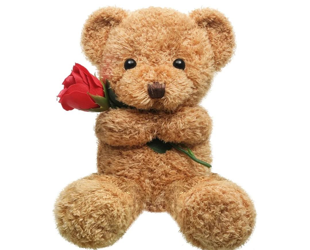 Civaner Bear Stuffed Animal Gift with Rose Funny Cute Bear Stuffed Animal Plush Gift for Mother Day Mom Birthday Wedding Christmas, 11.8 Inches(Beige