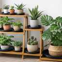 50 Packs 12 Inches Large Plant Saucers for Indoor Outdoor Use Heavy Duty Plastic Plant Plate Dish for Planter Bulk Round Flower Pot Drip Trays to Catch Water 4 to 20 Inch, Black