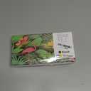 952XL Ink Cartridges Combo Pack Replacement for HP 952XL 952 XL Ink Cartridges to Use with HP Officejet Pro 8710 7740 8720 8702 8210 7720 8715 8730 8740 8216 Printer (Black/Cyan/Magenta/Yellow)