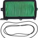 Honda Talon 1000 OEM Air Filter 17215-HL6-A00