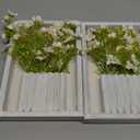 2 Pcs Artificial Flowers Wall Hanging Decor Australian Wintersweet 3D Decorative Painting Retro Vintage Wooden Frame Size: 9" x 6" (White)