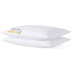 iFaon Thin Flat Slim Ultra Soft Bed Pillows Standard Size Set of 2 Pack for Sleeping, Bed Pillow for Stomach Back and Side Sleepers, Machine Washable 20x26 inches