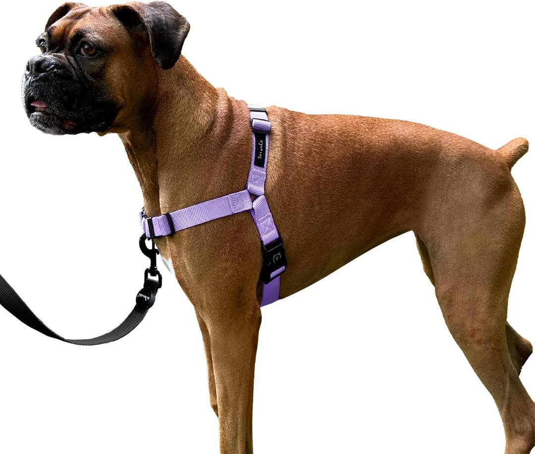 ShawnCo Dream Walk No-Pull Dog Harness- Adjustable, Comfortable, Easy to Use Pet Halter to Help Stop Pulling for Small, Medium and Large Dogs (ICY Lilac, S)