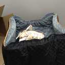 Memory Foam Booster Dog Car Seat with Washable Removable Cover, Elevated Pet Car Seat, Anti-Slip Sturdy Booster Seats for Small Dogs 35lbs, Seat Belt, Storage Pocket, Dog Blankets