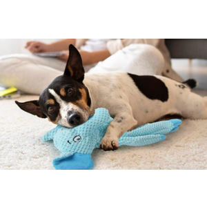 Dog Squeak Toys for Small, Medium & Large Dogs, Durable Chew Toy for Teething and Chewing, Tough Interactive Puppy Toy, 5-Pack, for Dogs