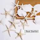JQAQJU 3-4 Inches Large Starfish and Scallop Shells for Crafts 12PCS, Natural Beach Sea Shells for Crafting, Baking Shells Perfect for White Christmas Decor Beach Party Wedding Fishtank DIY Crafts