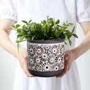 2 Piece Ceramic Plant Pots, 5.7/4.7/3.5/inch Planters with Drainage Hole, Outdoor Indoor Flower Pots Set, Modern Decorative Plant Pots for Lilies, Cacti, Succulents, Snakes, Bamboo(Grey) (Gray)