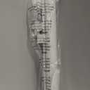 Retractable Baby Gate with Cat Door 55" Wide Retractable Baby Gate for Stairs Mesh Baby Gate with Pet Door Retractable Dog Gate for The House Retractable Pet Gate with Door Safety Gates for Toddlers (White)