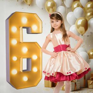 3FT/36 Inch Light Up Marquee Number 0-9, White Frame KT Board Plug-in KT Board With Bracket Warm LED Party Decorative Light Decoration For Birthday Party Anniversary (NUMBER 6)