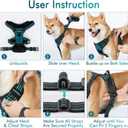 rabbitgoo Dog Harness No Pull with 2 Leash Clips, Adjustable Soft Padded, Reflective Oxford No Choke Pet Vest with Easy Control Handle for Medium Sized Dogs, Blue Coral, M