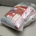 Northwest Pokemon Light and Sweet Full Size Bed in a Bag Set, Pikachu Eevee Jigglypuff, Kids Boys Girls Bedding Comforter Sheets