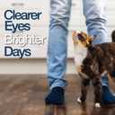 Felisyl L-Lysine Granules for Cats 100g (3.5 oz, 310 Servings)  Supports Immune, Respiratory, and Eye Health. Eases Sneezing, Runny Nose, and Watery Eyes. Tasty Salmon Flavor - Made in The USA