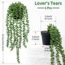 LOYWREE Fake Plants Indoor Artificial String of Pearls Plant in Black Pots, Realistic Green Faux Succulent Hanging Plants for Shelf Decor Desk Home Garden Decorations
