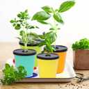 Kratky Method Hydroponic Planter Kit, 8 Hydroponic Planter Plus 24 Growing Sponges for Herbs, Hydroponic Mini Buckets for Windowsill Herb Garden, Hydroponic Growing System for Vegetables