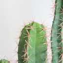 Momoplant Artificial Cactus Fake Plant 30 Inch Tall Faux Cacti Plants for Home Garden Office Store Decoration