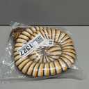 Stuffed Cobra Snake Animal Plush Toy 44 Inches Realistic Long Qamra The Queen Cobra Animal Stuffed Plushies Naja Nivea Cape Cobra Python Stuff Dolls Gift for Children Kids Boys Girls, 44Inches