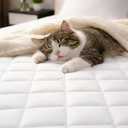 Quilted Fitted Mattress Pad Protector King Size - Elastic Fitted Mattress Topper & Cover - Breathable, Soft, Low Profile Top Cover with 8-16 Inch Deep Pockets - Easy-Fit and Machine Washable - White