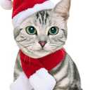 NAMSAN Christmas Cat Hats Costume, Santa Hat with Red Scarf for Cats Small Dogs, Rabbit Christmas Hat Outfit, Small Xmas Apparel for Statue Decoration