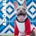 Cuban Link Dog Collar - 3/4 in Wide Metal Chain Dog Collar Venom Black, Designed Stunning Pet Accessory, Cute Luxury Jewelry Costume 20 inches