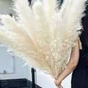 10 Stems 46" inch White Pampas Grass Decor Tall, Large Pompas Grass, Boho Neutral Home Decor Bouquet, Fluffy Pampass Grass for Floor Vase Wedding Floral Arrangements Wall Farmhouse Table Decor