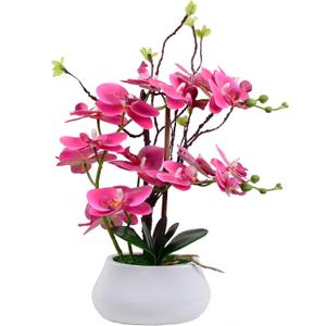 W&W Artificial Orchid Plants and Flowers with Vase, Fake Faux Orchid in Ceramic Pot,17, Fuchsia