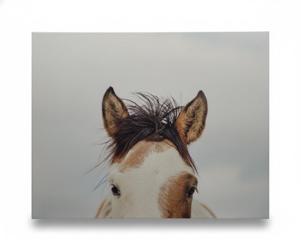 JLA ITS IN THE EYES CANVAS ART 20X22