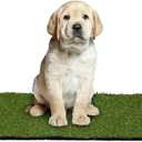 Garland Rug Outdoor Artificial Grass Puppy Pad 24" x 48" Non-Toxic, Realistic Turf with Drainage Holes & Easy-Clean Design, Perfect for Patios & Backyards