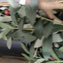 Artificial Olive Tree for Living Room Decor, 6FT Bendable Fake Plants Artificial Indoor, Faux Silk Plant Fake Trees in Potted with Oliver Branch Leaves and Fruits for Modern Home House Office Dcor