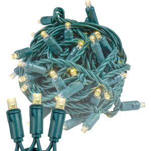 Novelty Lights 50ft 100 LED Warm White Christmas Lights Outdoor/Indoor, 6" Spacing, Green Wire String Lights for Festive Xmas Lighting, IP55, UL Listed, Dimmable, Connectable