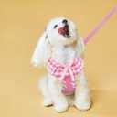 EXPAWLORER Cute Dog Harness and Leash Set - Pink Girl Dog Harness Checkered Step-in Design, Easy Adjustable No-Choke Lightweight Breathable Vest for Puppy Small Dogs Cats Outdoor Walking, Small