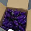 Brightown Halloween C9 LED Purple String Lights, 114FT 150 LED Halloween Lights with Timer & 8 Modes, Plug-in Waterproof Connectable Outdoor Lighting for House Patio Yard Porch Roof