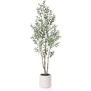 LOMANTO Artificial Olive Trees, 6 ft Tall Fake Olive Trees for Indoor, Faux Olive Silk Tree, Large Olive Plants with White Planter for Home Decor and Housewarming Gift, 1 Pack