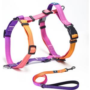 Roses&Poetry Dog Harness with Leash, No Pull Adjustable Harness Leash, Reflective Dog Halter Harnesses Comfort Padded Handle, Pet Walking Harness for Medium DogsMistyrose-M