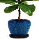 MAGP 10 Inch Large Plant Pots with Drainage Hole and Saucer, Large Ceramic Decorative Flower Pot for Plants Indoor Outdoor Planter, Round Blue