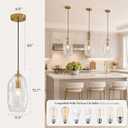 Glass Pendant Lights Kitchen Island Modern Gold Organic Clear Glass Light, 12in