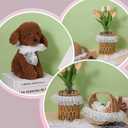 39 In/10 M White Lace Ruffle Ribbon, Double Layer 2 in /5 cm Wide Lace, Ruffle Ribbon Gathered Tulle Edging, White Laces for DIY Sewing Crafts, Dress Embellishments, Gift Wrapping