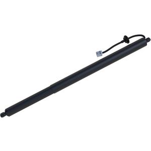 Liftgate Lift Support 300724