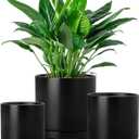 vancasso Ceramic Plant Pots, 3 Piece Planters for Indoor Plants, 4.25+5.25+6.25 Inch Flower Pots with Drainage, Plant Pots Indoor for Succulent, Pothos, Snake Plant and Money Tree, Etc (Black)