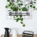 4 Pcs 15.75 x 3.94 x 1.97 Inch Metal Grid Wall Baskets with Hooks Grid Wall Shelves Hanging Wire Basket Multi Function Storage Organizer for Kitchen Organizing Display (Black)