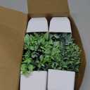 Der Rose 4 Pack Fake Plants Mini Artificial Greenery Potted Plants for Home Decor Indoor Office Table Room Farmhouse Bathroom Decor