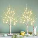 PEIDUO Easter Decorations, 2FT Birch Tree with LED Lights, Warm White Light up Tree Lamp, Easter Tree for Home Table Inside, Easter Decor Indoor, Battery Powered, Timer (2PK)