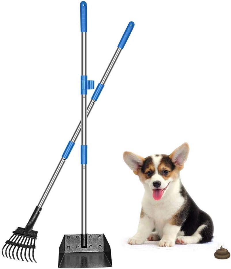 QiMH Upgraded Dog Pooper Scooper Extra Large, Adjustable Long Handle Stainless Metal Pet Poop Tray and Rake Set for Large Medium Small Dogs, Dog Waste Removal Bin Rake, Great for Grass, Street, Gravel (Blue)