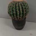 Nearly Natural Cactus Artificial Plant