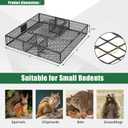 Heavy-Duty Squirrelinator Squirrel Trap, 2-Door Animal Humane Catch & Release Cage Trap, Holds up to 25 Squirrels, Safe Relocation (1 Trap)